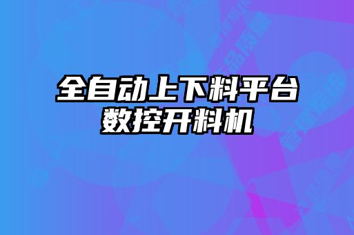全自動(dòng)上下料平臺(tái)數(shù)控開料機(jī)