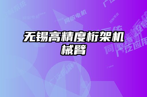 無錫高精度桁架機(jī)械臂
