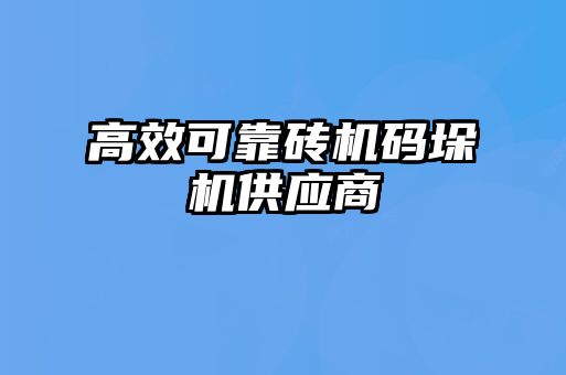 高效可靠磚機碼垛機供應(yīng)商