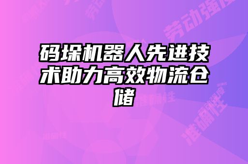碼垛機(jī)器人先進(jìn)技術(shù)助力高效物流倉儲(chǔ)