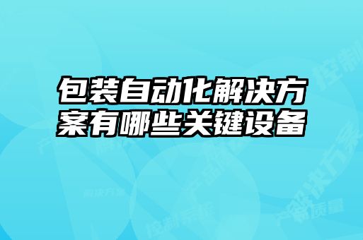包裝自動(dòng)化解決方案有哪些關(guān)鍵設(shè)備