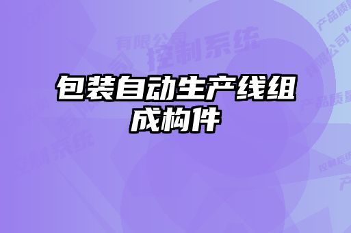 包裝自動(dòng)生產(chǎn)線(xiàn)組成構(gòu)件