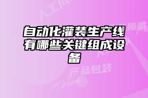 自動化灌裝生產(chǎn)線有哪些關(guān)鍵組成設(shè)備