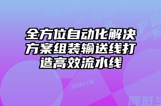 全方位自動(dòng)化解決方案組裝輸送線打造高效流水線