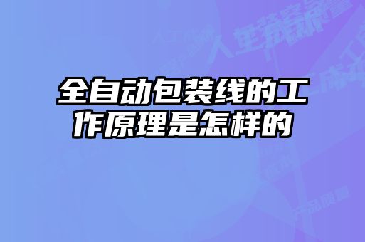 全自動(dòng)包裝線(xiàn)的工作原理是怎樣的