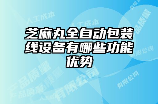芝麻丸全自動(dòng)包裝線設(shè)備有哪些功能優(yōu)勢