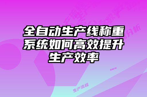 全自動生產(chǎn)線稱重系統(tǒng)如何高效提升生產(chǎn)效率