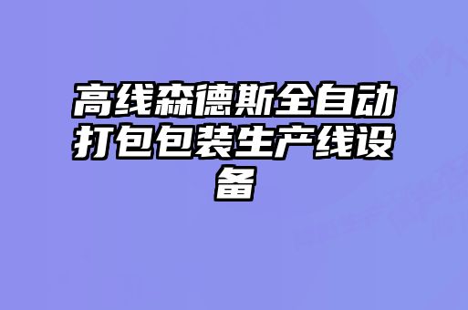 高線森德斯全自動打包包裝生產(chǎn)線設(shè)備