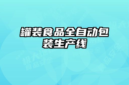 罐裝食品全自動包裝生產(chǎn)線