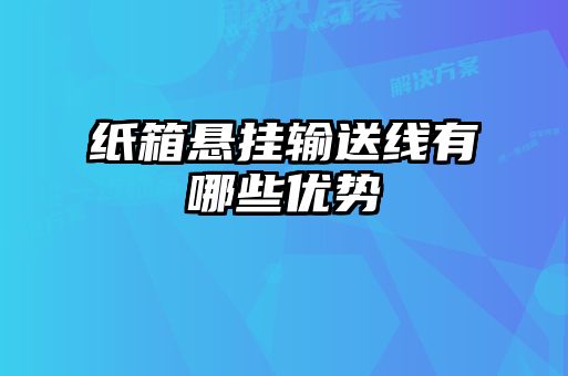 紙箱懸掛輸送線有哪些優(yōu)勢