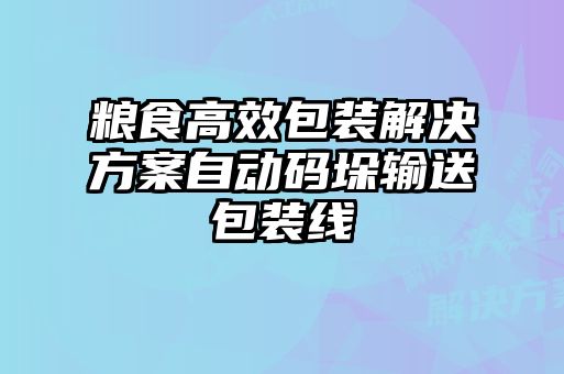 糧食高效包裝解決方案自動(dòng)碼垛輸送包裝線(xiàn)