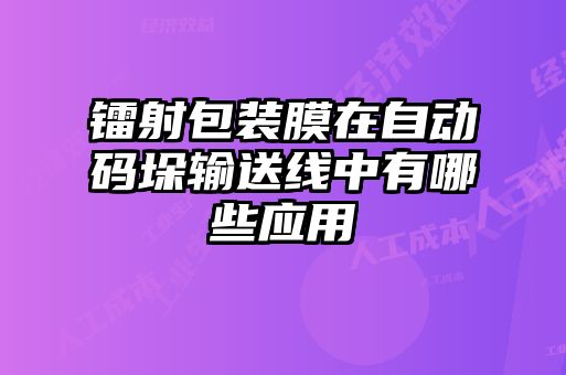 鐳射包裝膜在自動(dòng)碼垛輸送線中有哪些應(yīng)用